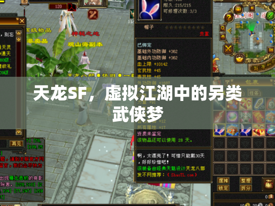 天龙SF，虚拟江湖中的另类武侠梦