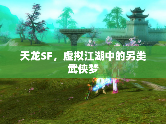 天龙SF，虚拟江湖中的另类武侠梦