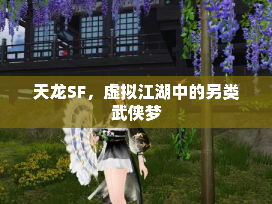 天龙SF，虚拟江湖中的另类武侠梦