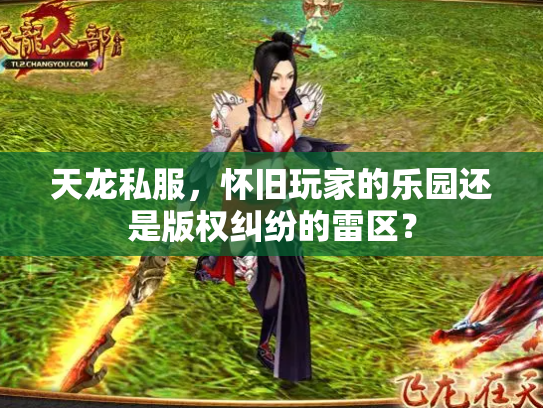 天龙私服，怀旧玩家的乐园还是版权纠纷的雷区？