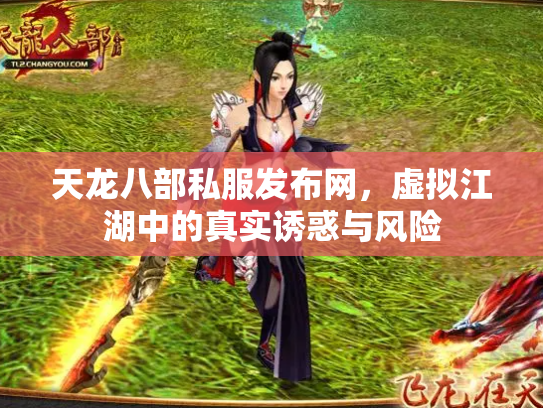 天龙八部私服发布网，虚拟江湖中的真实诱惑与风险