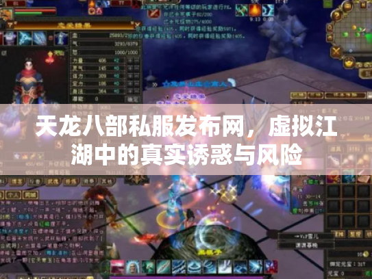 天龙八部私服发布网，虚拟江湖中的真实诱惑与风险