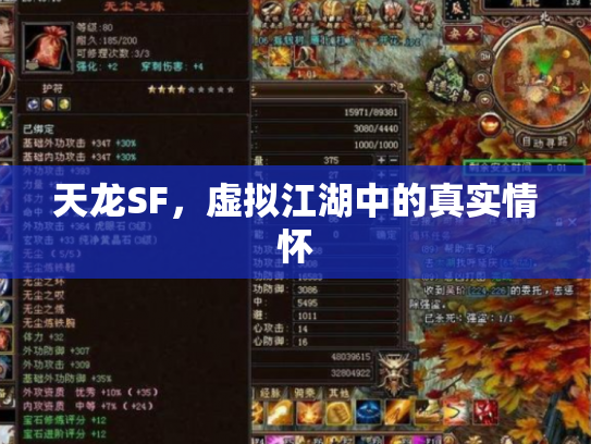 天龙SF，虚拟江湖中的真实情怀