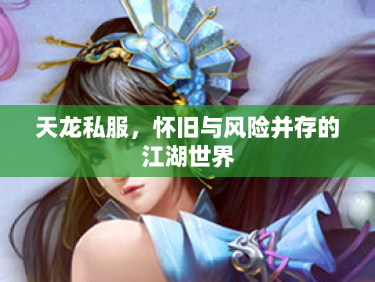天龙私服，怀旧与风险并存的江湖世界