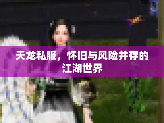 天龙私服，怀旧与风险并存的江湖世界