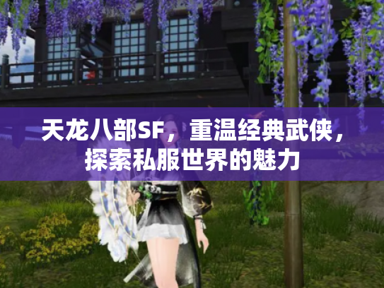 天龙八部SF，重温经典武侠，探索私服世界的魅力