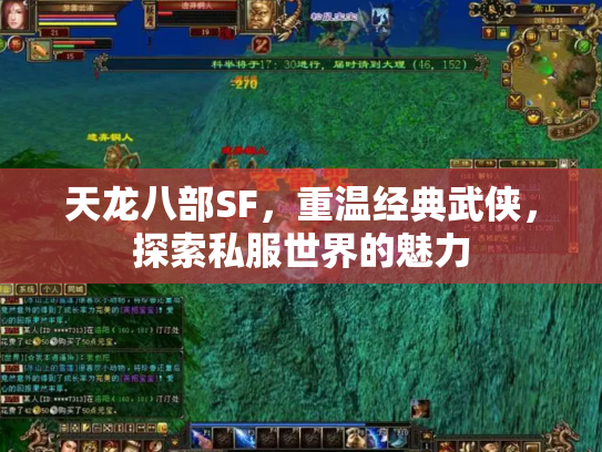 天龙八部SF，重温经典武侠，探索私服世界的魅力
