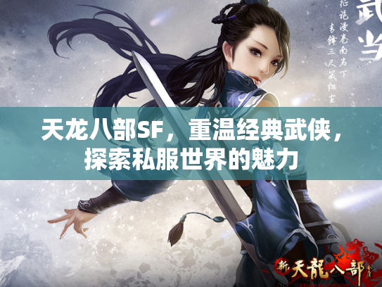 天龙八部SF，重温经典武侠，探索私服世界的魅力