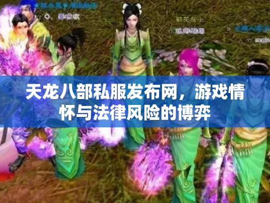 天龙八部私服发布网，游戏情怀与法律风险的博弈
