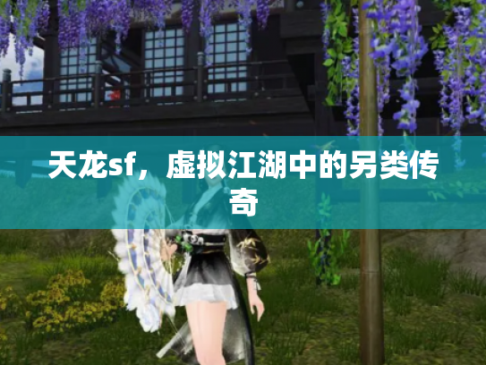 天龙sf，虚拟江湖中的另类传奇