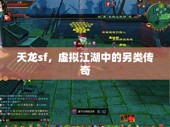 天龙sf，虚拟江湖中的另类传奇