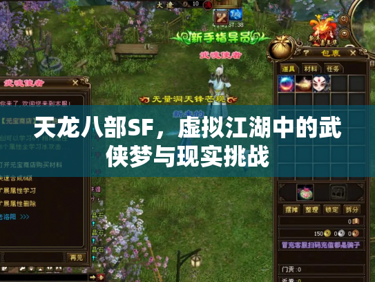 天龙八部SF，虚拟江湖中的武侠梦与现实挑战
