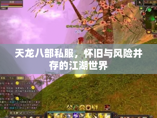 天龙八部私服，怀旧与风险并存的江湖世界