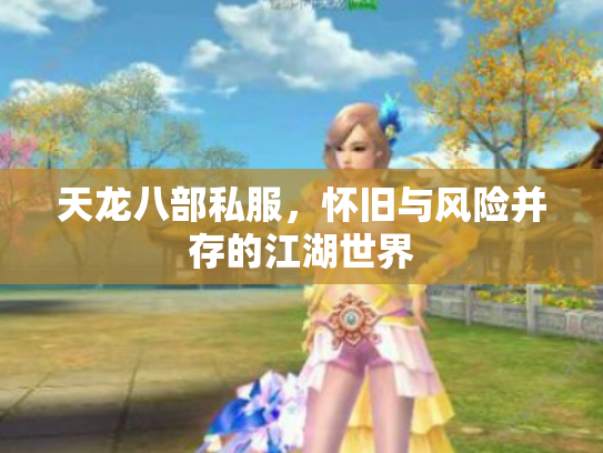 天龙八部私服，怀旧与风险并存的江湖世界