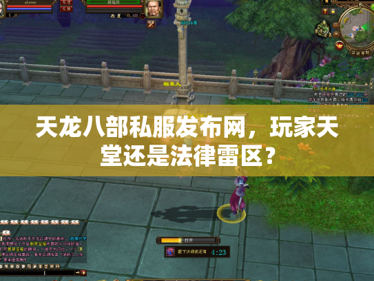 天龙八部私服发布网，玩家天堂还是法律雷区？