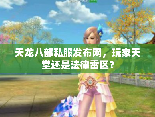 天龙八部私服发布网，玩家天堂还是法律雷区？