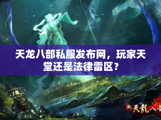 天龙八部私服发布网，玩家天堂还是法律雷区？