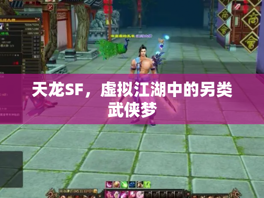天龙SF，虚拟江湖中的另类武侠梦