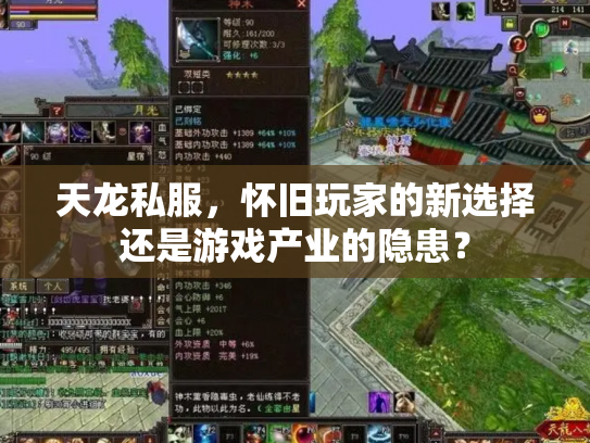 天龙私服，怀旧玩家的新选择还是游戏产业的隐患？