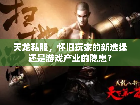 天龙私服，怀旧玩家的新选择还是游戏产业的隐患？