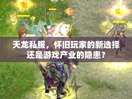 天龙私服，怀旧玩家的新选择还是游戏产业的隐患？