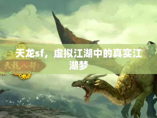 天龙sf，虚拟江湖中的真实江湖梦