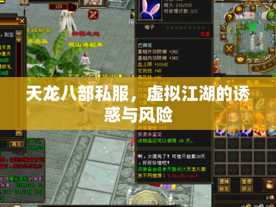 天龙八部私服，虚拟江湖的诱惑与风险