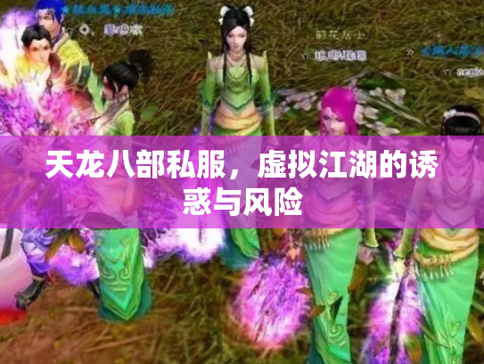 天龙八部私服，虚拟江湖的诱惑与风险