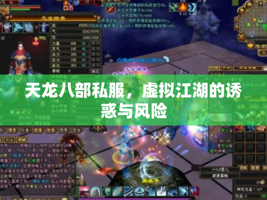天龙八部私服，虚拟江湖的诱惑与风险