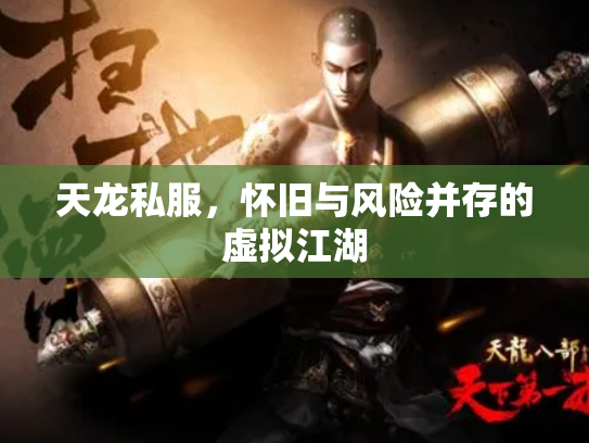 天龙私服，怀旧与风险并存的虚拟江湖