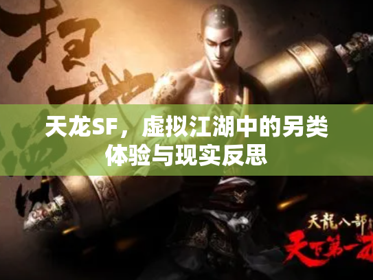 天龙SF，虚拟江湖中的另类体验与现实反思