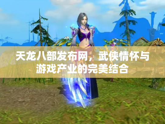 天龙八部发布网，武侠情怀与游戏产业的完美结合