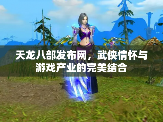 天龙八部发布网，武侠情怀与游戏产业的完美结合