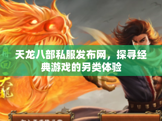 天龙八部私服发布网，探寻经典游戏的另类体验
