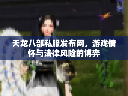 天龙八部私服发布网，游戏情怀与法律风险的博弈