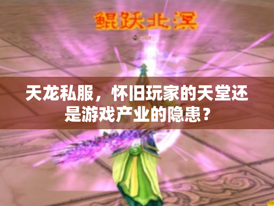 天龙私服，怀旧玩家的天堂还是游戏产业的隐患？