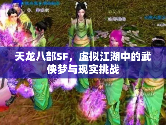 天龙八部SF，虚拟江湖中的武侠梦与现实挑战