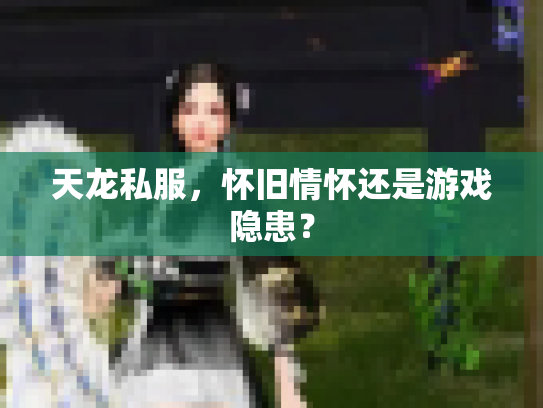 天龙私服，怀旧情怀还是游戏隐患？