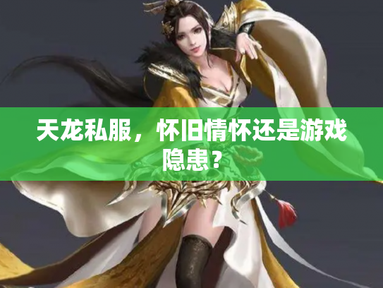 天龙私服，怀旧情怀还是游戏隐患？