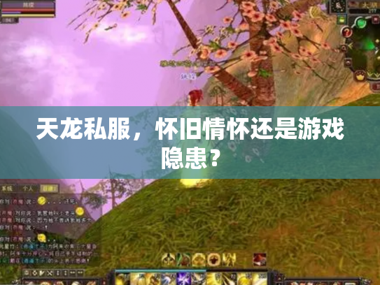 天龙私服，怀旧情怀还是游戏隐患？