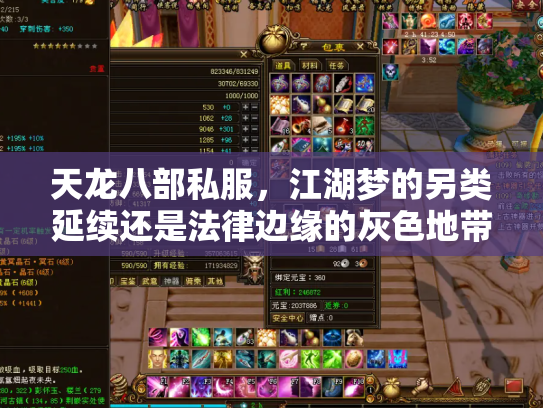 天龙八部私服，江湖梦的另类延续还是法律边缘的灰色地带？