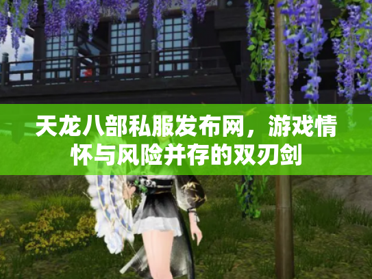 天龙八部私服发布网，游戏情怀与风险并存的双刃剑