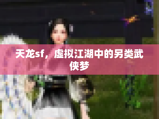 天龙sf，虚拟江湖中的另类武侠梦