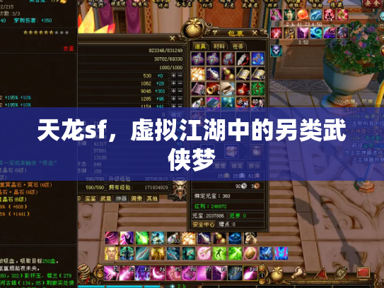 天龙sf，虚拟江湖中的另类武侠梦