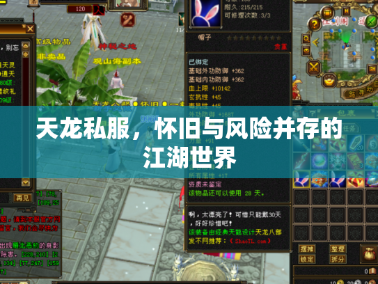 天龙私服，怀旧与风险并存的江湖世界