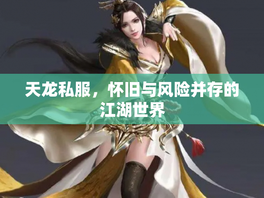 天龙私服，怀旧与风险并存的江湖世界