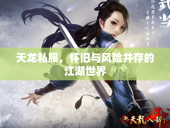 天龙私服，怀旧与风险并存的江湖世界