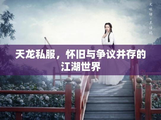 天龙私服，怀旧与争议并存的江湖世界