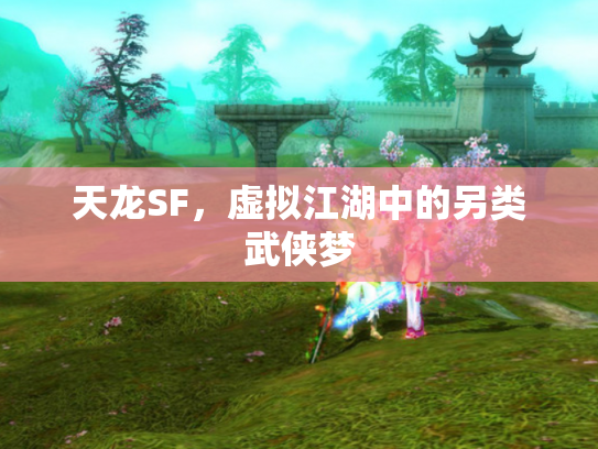 天龙SF，虚拟江湖中的另类武侠梦