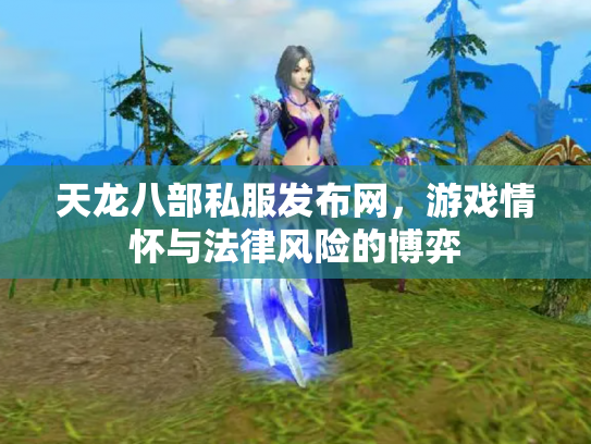 天龙八部私服发布网，游戏情怀与法律风险的博弈